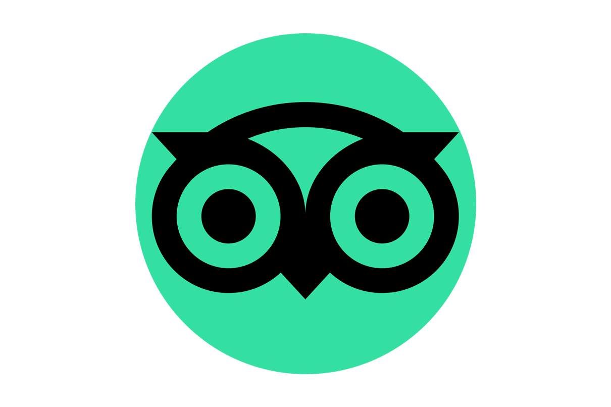 tripadvisor logo icon detail copia
